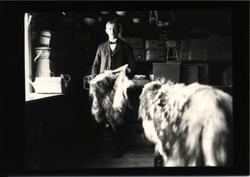 Ung mann med skinn i butikk