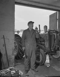 Norsk landbruks jubileumsutstilling 1959. Mann med traktor i