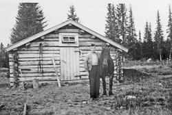 Person, hest, stall.