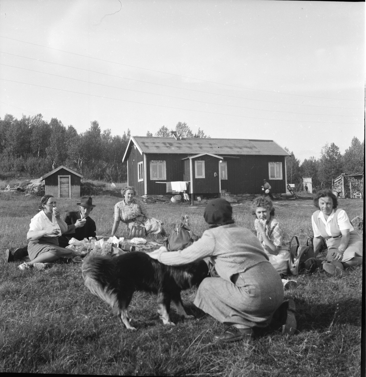På fjällfärd i Härjedalsfjällen.
På gårdstunet hos familjen Martin och  Junetta Nordfjäll.