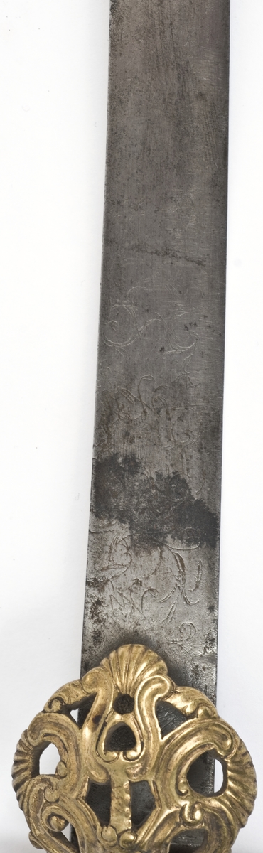 Knapp formet som et hundehode. Grep av horn. Svakt opp og nedbøyde kanelerte parerstenger. Nedbøyd gjennombrutt skjell på utsiden.
Enegget klieformet klingen med ryggslipning mot spissen..  Klingen har etset rankedekor på begge sidr. .