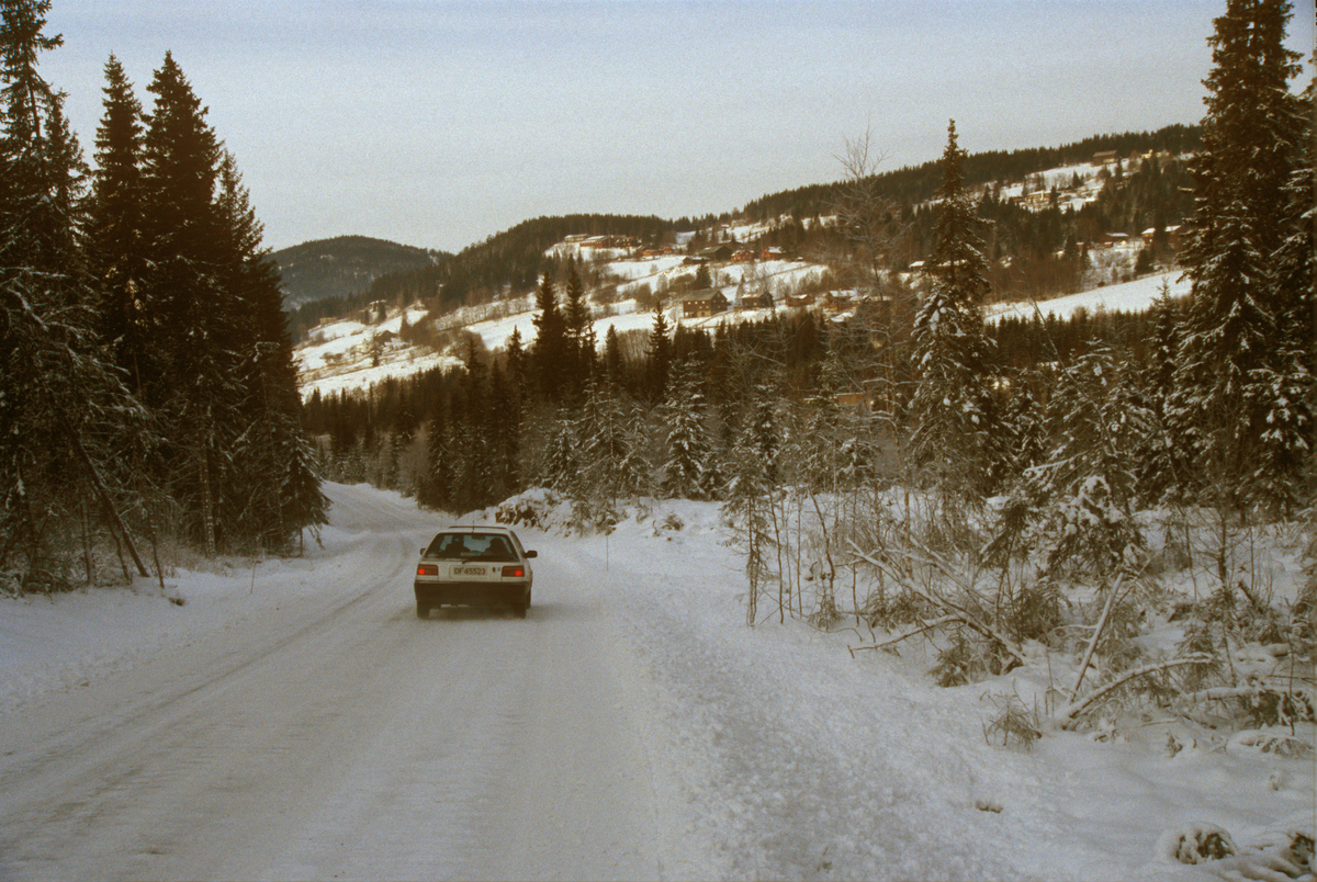 Lillehammer, Nordre Ål, Kantvegen, bil, granskog, utsikt mot nord og Ålsbygda