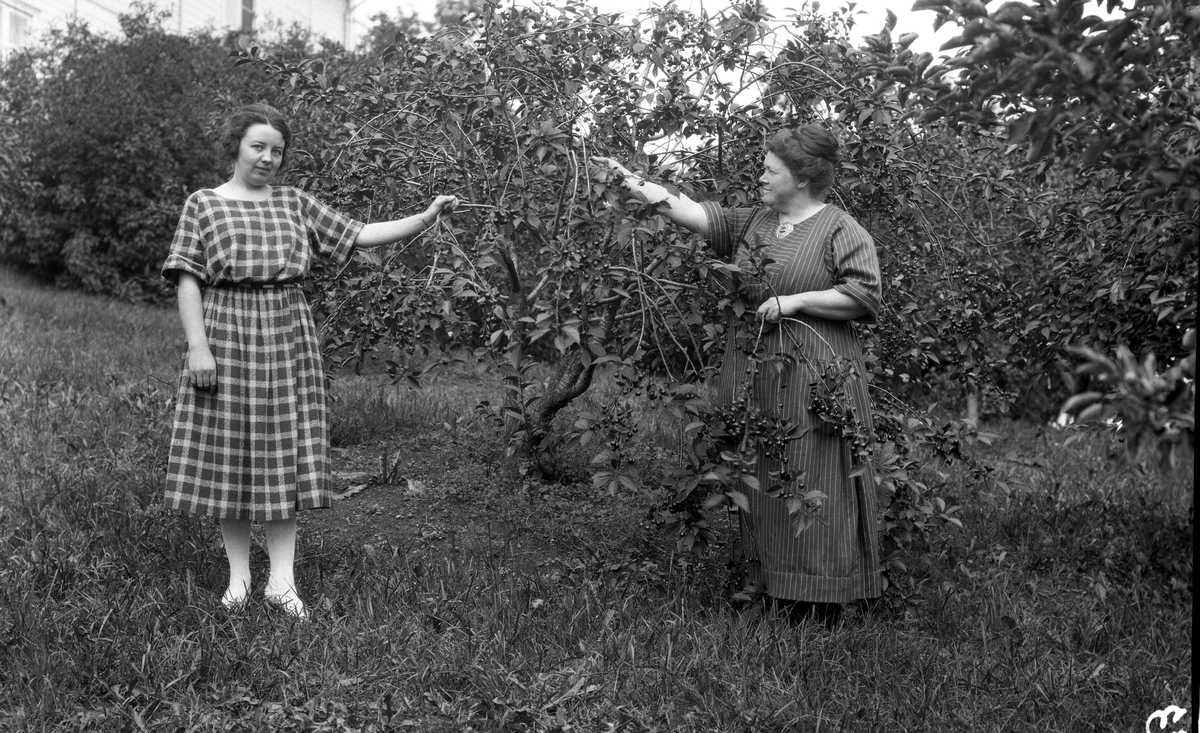 Fire bilder av to kvinner. Bakerst på bilde nr. 1 trolig Nelly Hveem. Den andre er ukjent.