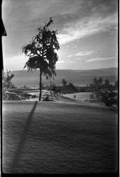 Fra Odberg på Kraby, Ø.Toten, mot Lensbygda.