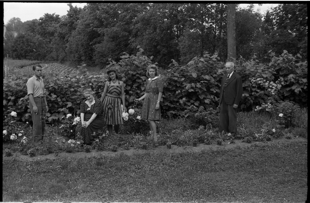 Kristen og Olga Sveum, trolig med sønnen Arvid samt to uidentifiserte unge kvinner. Trolig juni 1941.