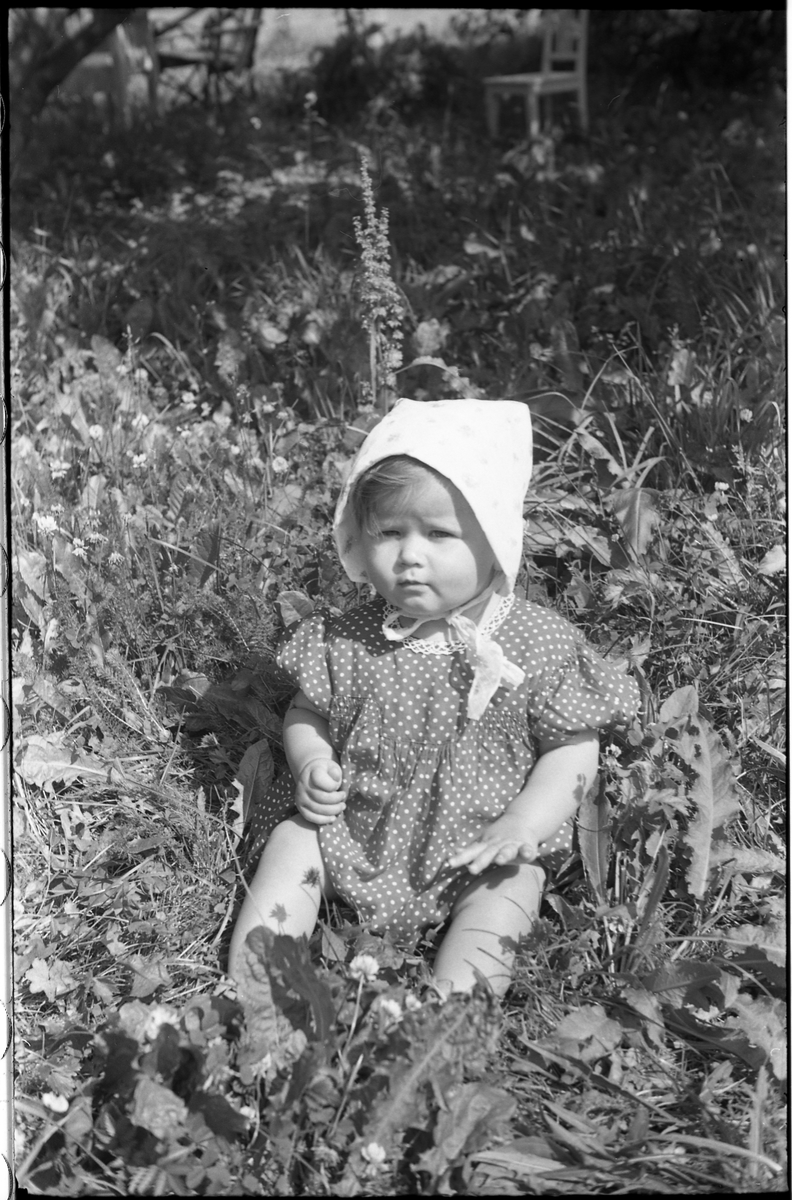 Fotografen har skrevet: "Langerud m/familie". Kan muligens være Arne og Alfhild Langerud med barna Roy og Ragnhild. Fem bilder Juni/juli 1941.