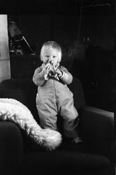 Barneportrett fra1945. Serie på 9 bilder. Jenta er Ingeborg 