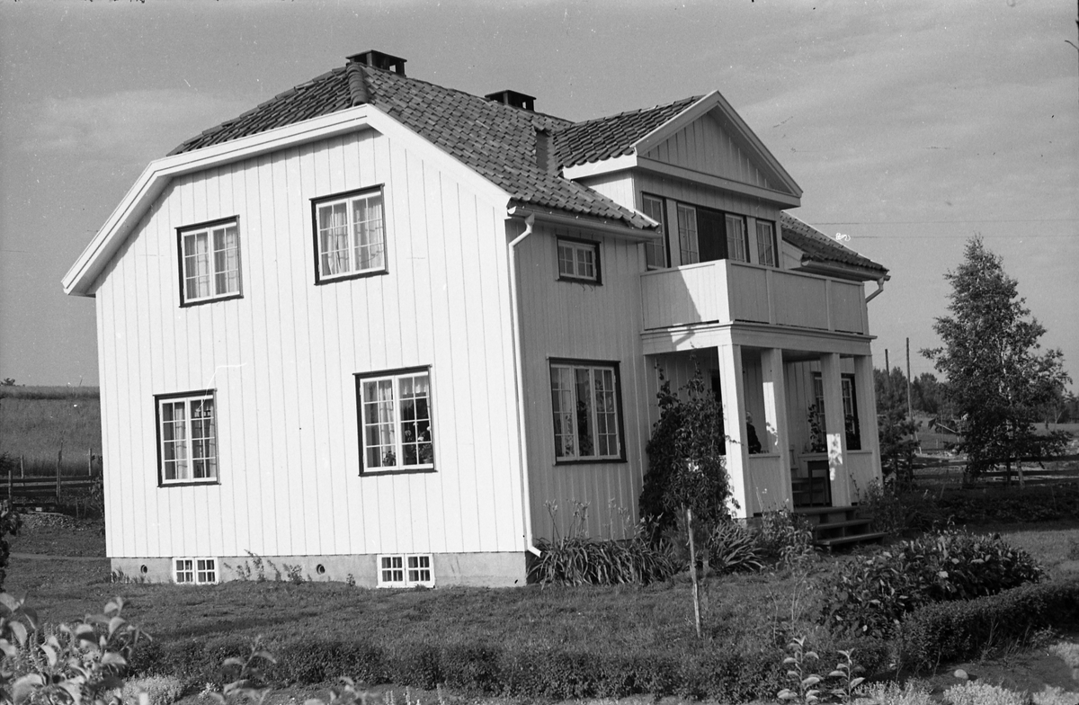 Furulund i Bilittvegen, Østre Toten.