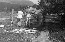 Nasjonalt orienteringsløp i regi av Toten-Troll, Totenåsen 4