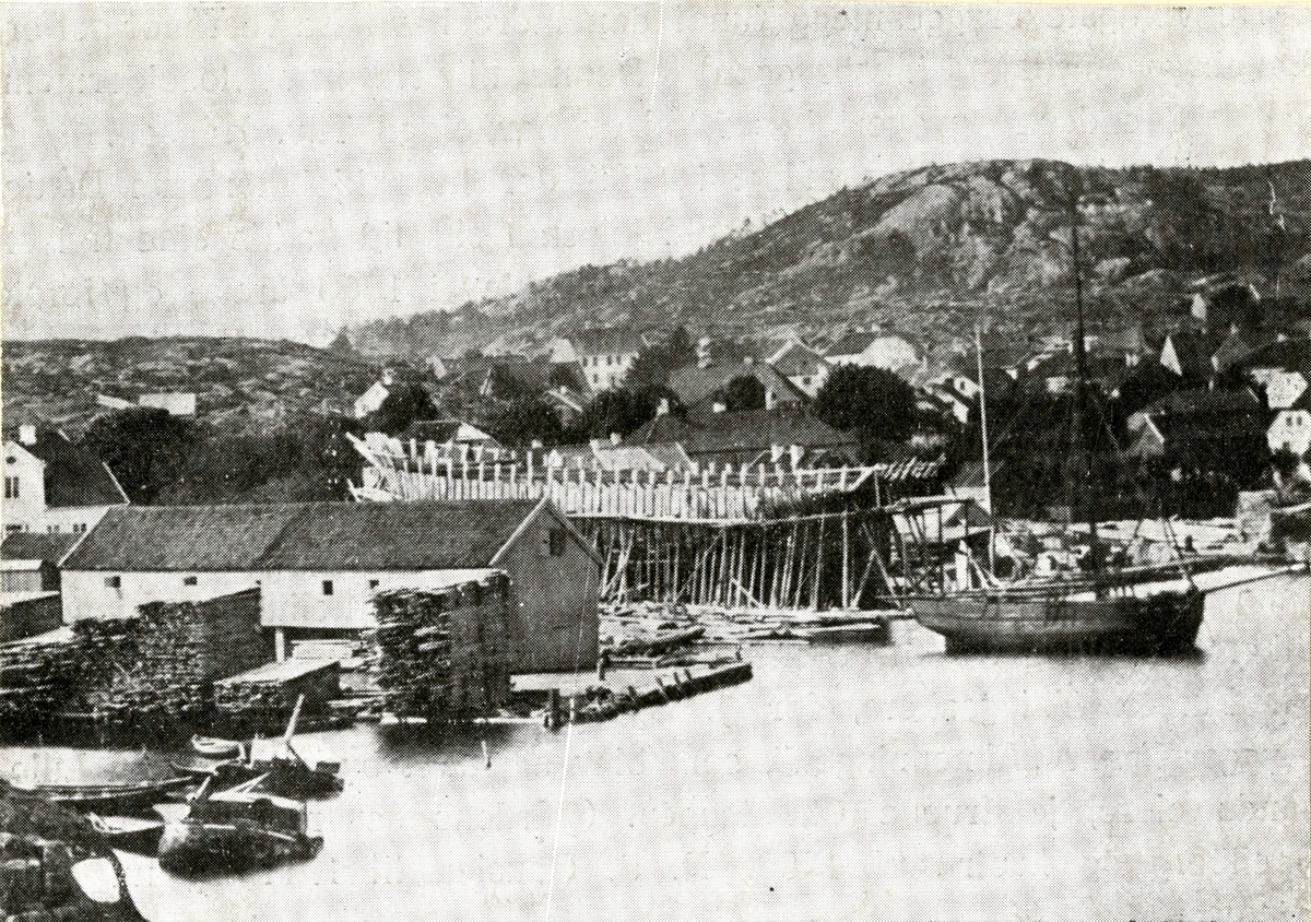 Bark 'Amykos' (b.1863, P. Knudsen's værft, Lillesand, Norge)