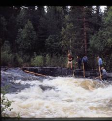 "Brøtning" i Bjoneelva, fløtning av tømmer og fem fløtere me