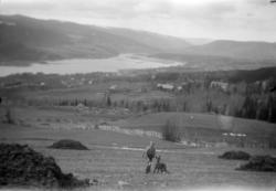 Utsikt fra Høstmælingen mot Lillehammer og Gausdal. Holen og