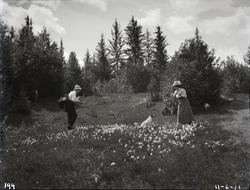 Bonnevie og frue 11/6