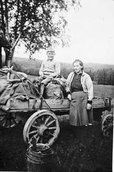 Gutt og kvinne, vognlass, seterflytting til Osåsene, Nystuvo