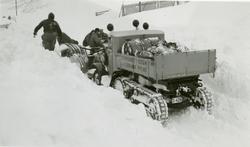 Lastebil med plog og Kègresse belter på Filefjell februar 19