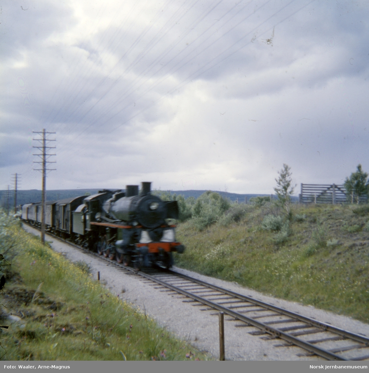 Damplokomotiv type 26c 411 med nordgående dagtog 301 ved Røros