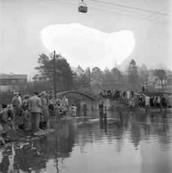 Tilskuere ved Herøyakanalen.