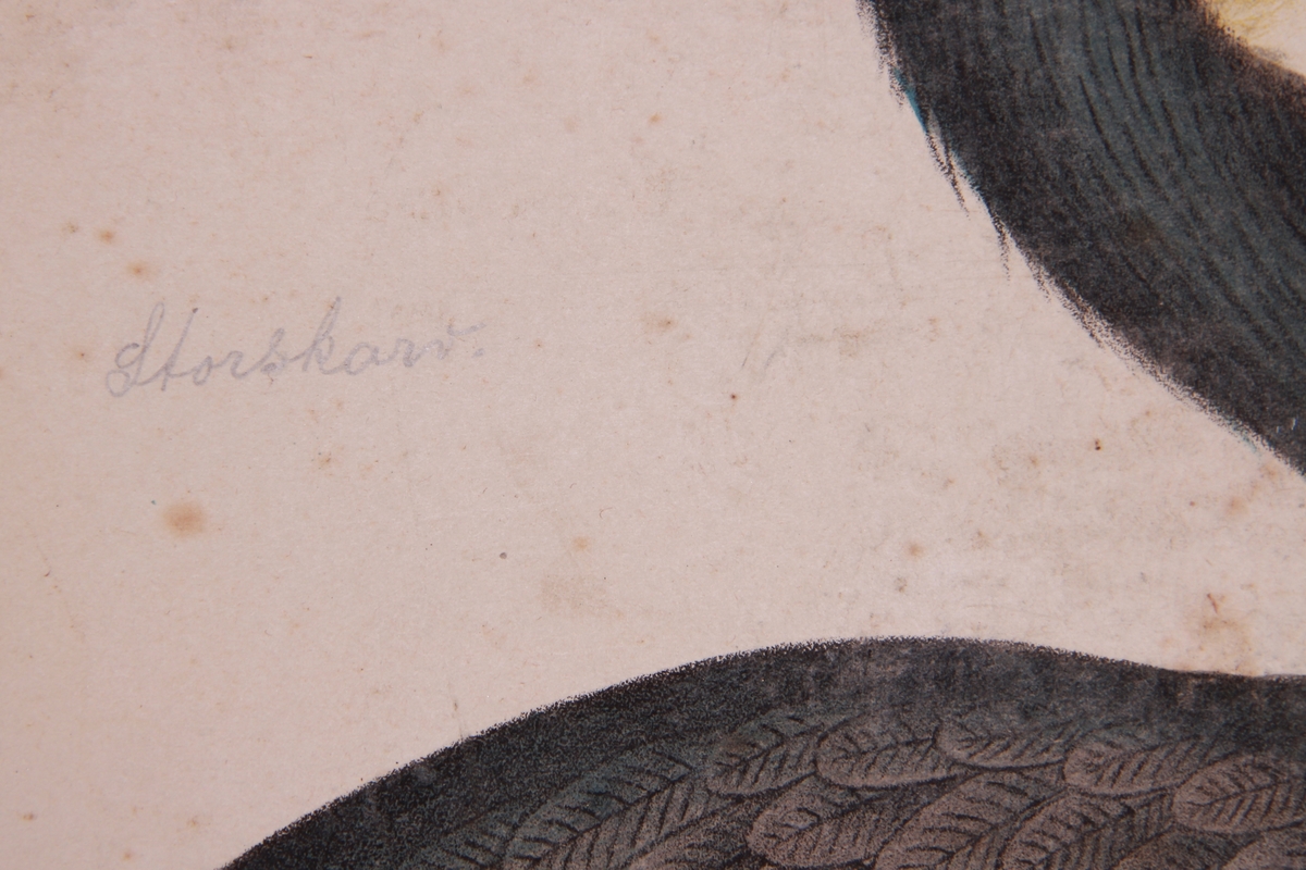 Detaljer av ulike ender.