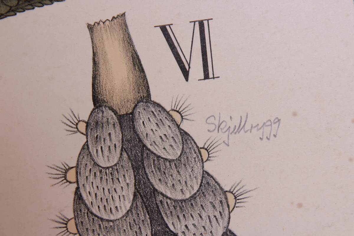 Detaljer av bendelormer.