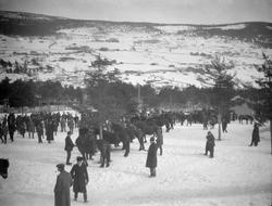 Unghestskue på Kommuneplassen, Vålebru.