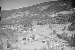Åsletten skole (Solvang), Hunder, Øyer, 16.07.1959, ikke sam