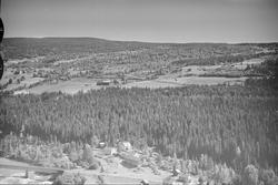 Langsveen gård, Hunder, Øyer, 16.07.1959, li, kulturlandskap