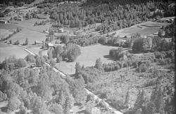 Kongsvegen sør for Tretten med Holmen gård i bakgrunnen. Hus