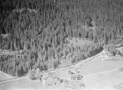 Pålsrud nordre, Vestsida,Tretten, Øyer, 16.07.1959, li, kult