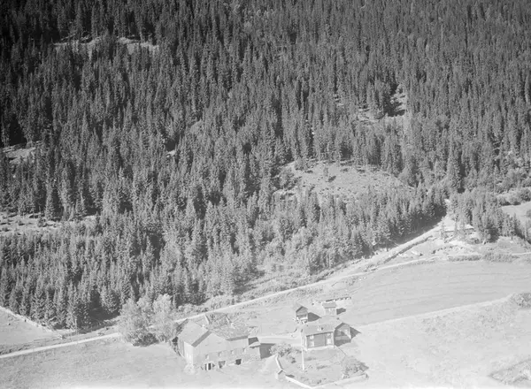 Pålsrud nordre, Vestsida,Tretten, Øyer, 16.07.1959, li, kult