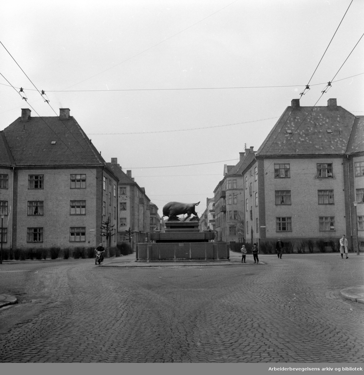 Torshov oksefontenen. Mars 1960