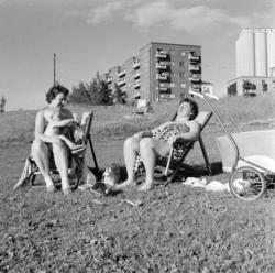Torshovdalen park. Juli 1958