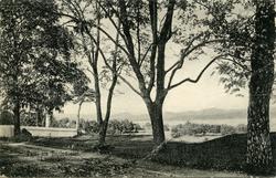 Parti fra Barfodveien, Langesund