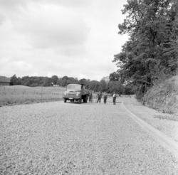 Strandpromenaden. Veiarbeider ved Sjølyst, Bygdøy. Juni 1959
