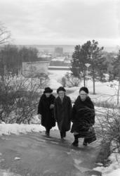 St.Hanshaugen. Februar 1975