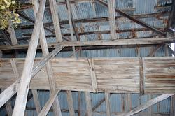 Våtvik. Sandhornøy. Nothjell med takkonstruksjon. September 