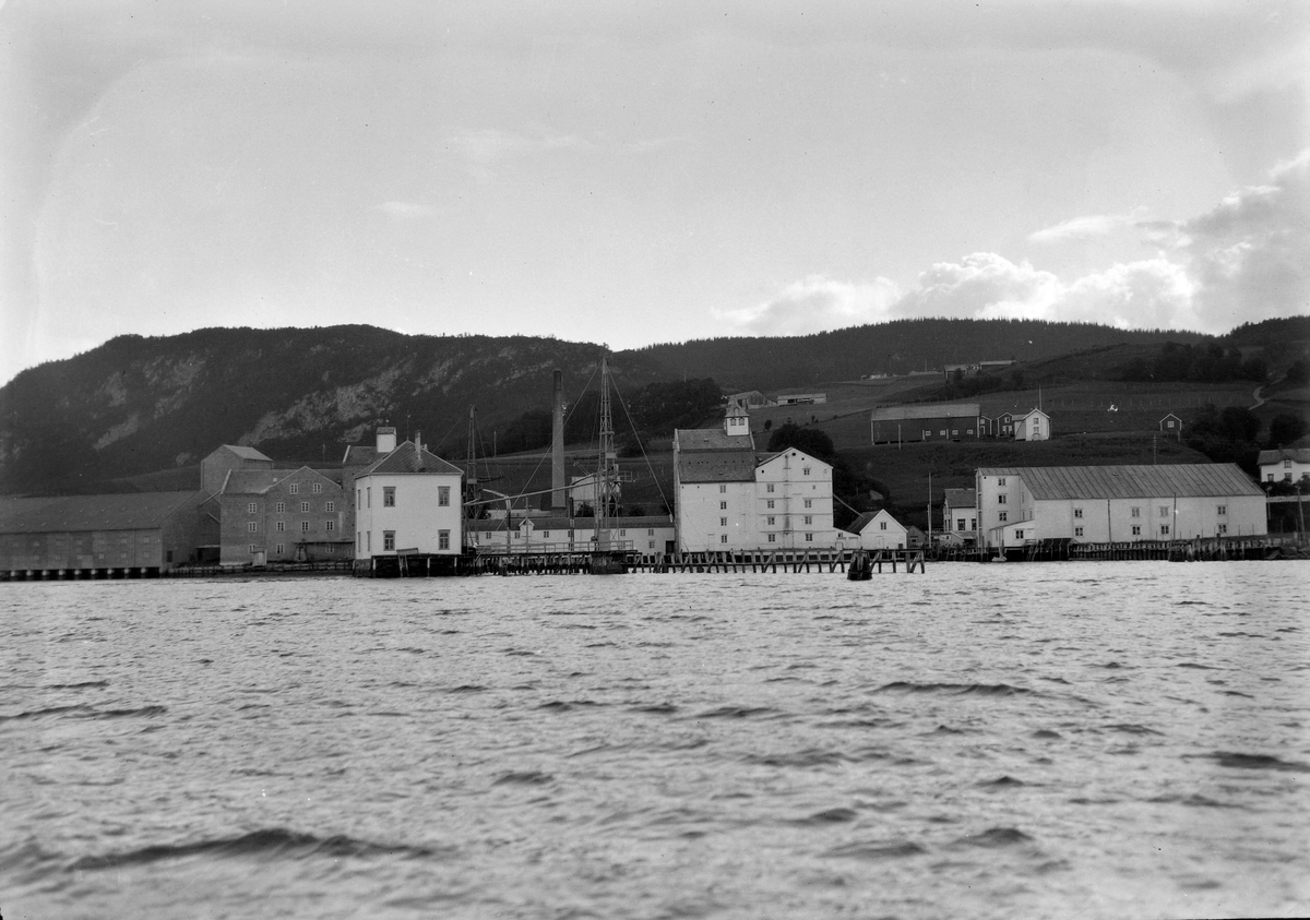 I. C. Piene & Søn i Buvika