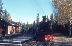 Norsk Jernbaneklubbs tog på Sysle stasjon, trukket av damplo