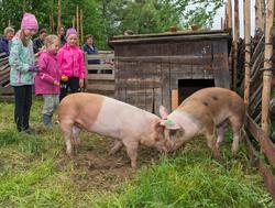 Fra "Fløttdagen" på Dølmotunet 2016, Tolga, Hedmark. Musea i