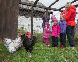 Fra "Fløttdagen" på Dølmotunet 2016, Tolga, Hedmark. Musea i