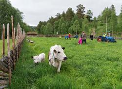 Fra "Fløttdagen" på Dølmotunet 2016, Tolga, Hedmark. Musea i