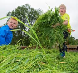 Fra "Fløttdagen" på Dølmotunet 2016, Tolga, Hedmark. Musea i