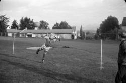 ."Molde FK, MFK, Molde fotballklubb"