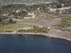 Flyfoto, Ullensvang, Hordatun, Forsøksgarden