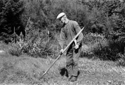 Ljå, slåttonn, arbeidsteknikk, slåttekar,