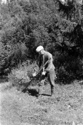 Ljå, slåttonn, arbeidsteknikk, slåttekar, raskeslått,