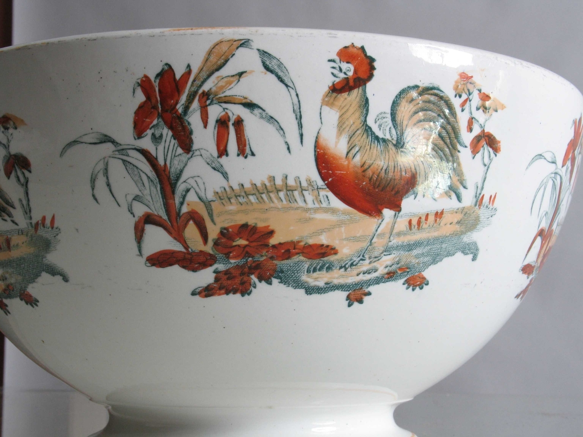 Hane, gress, blomster, gjerde