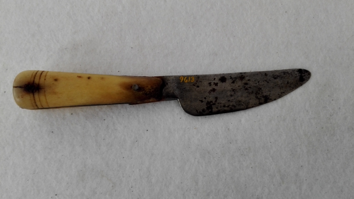 1 bordkniv.

Meget slidt - bladet 7 cm langt - bordkniv med benskaft, to halvdeler klinket til tangen.

Gave fra lensmand Erik Seim, Aardal.