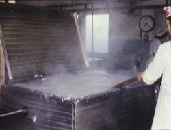 Arbeid inne på Bothnerfabrikken.