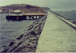 Moloen i Kongsfjord.