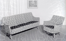 Salong. Sofa og lenestol.